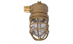 Explosion Proof Light